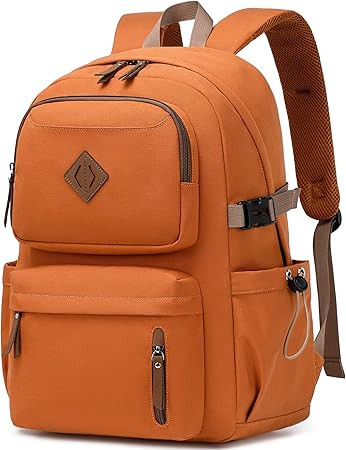 AO ALI VICTORY laptop backpack 15.6 inch anti theft travel backpacks for men and women large coll... | Amazon (US)