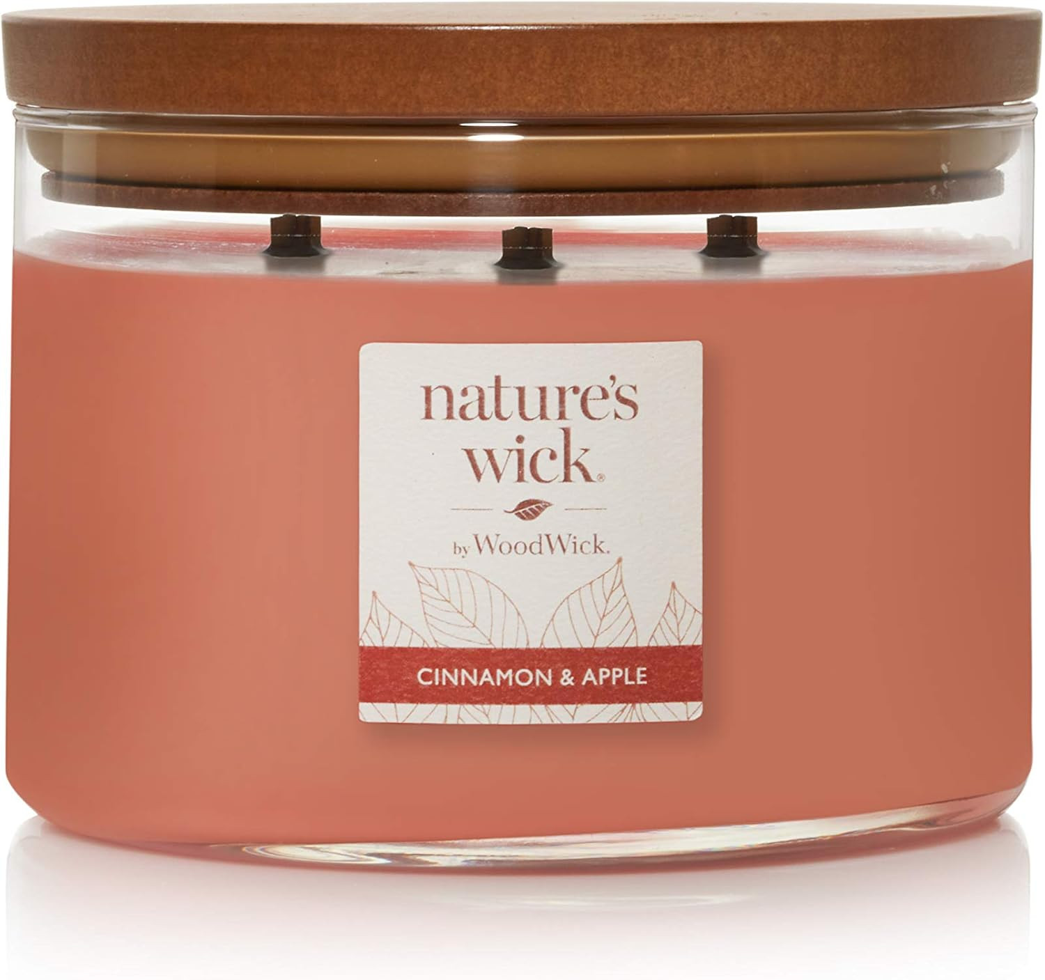 Nature's Wick Cinnamon & Apple 3-Wick Candle, 18 oz. | Amazon (US)
