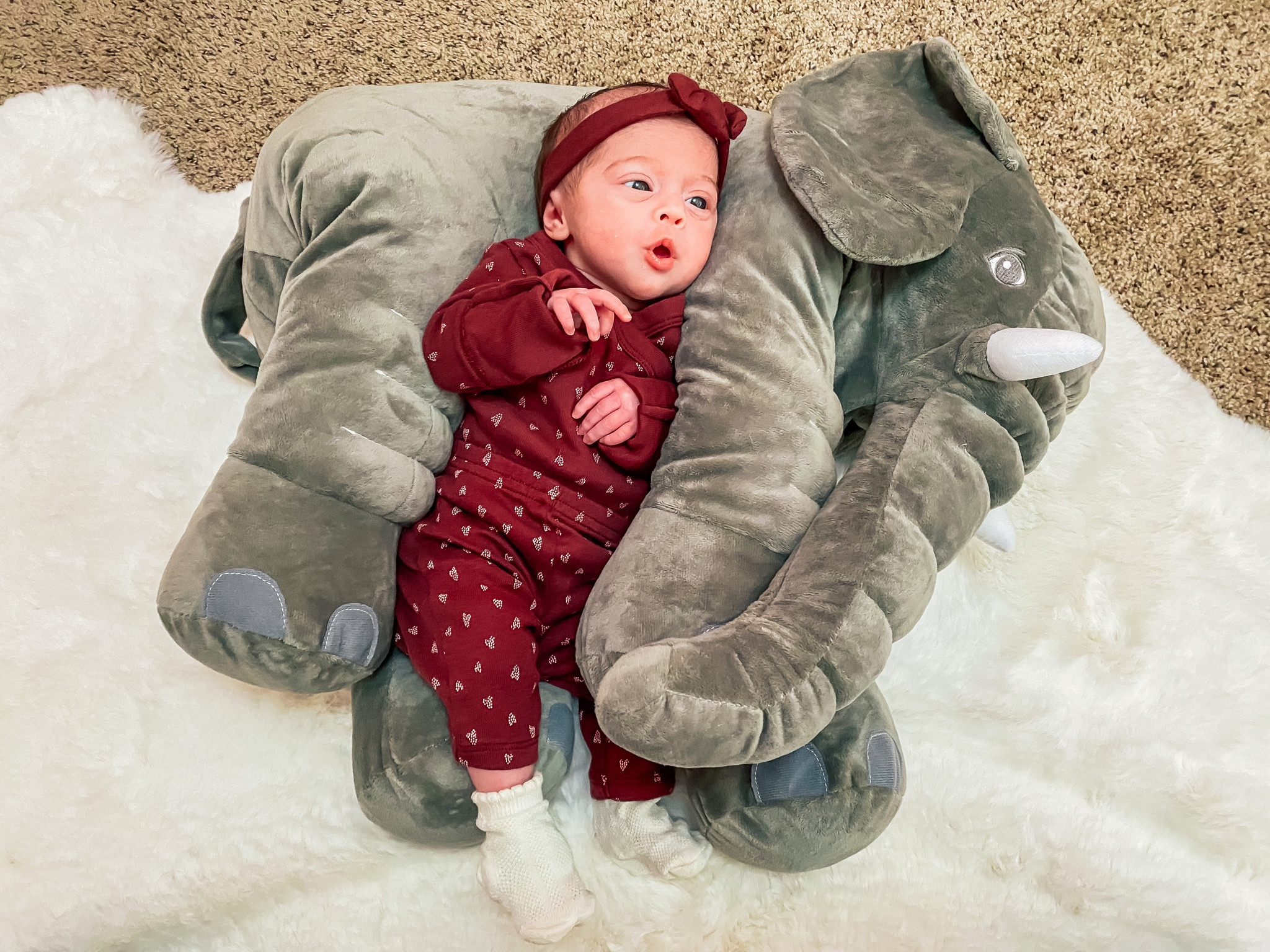 The cutest newborn burgundy outfit from target on sale for 20% off
Originally $12 

 Target, target fashion, target find, burgundy outfit, newborn outfit, baby outfit, target newborn sale, baby clothes, elephant pillow, baby pillow, baby appeal, carters, carters just one you, baby girl clothes, newborn girl, 3 piece newborn set, top bottom headband set, carters clothes, giant baby elephant, newborn picture ideas 

#LTKbaby #LTKsalealert #LTKkids