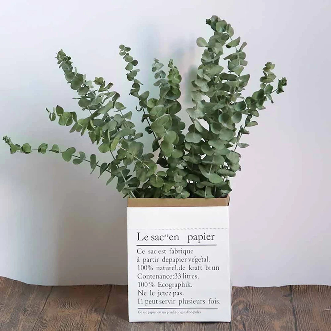 10 Stems Dried Eucalyptus Branches，16”，natural Eucalyptus Bunch，dried Flowers Arrangement... | Etsy (US)