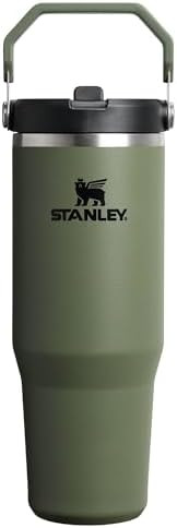 STANLEY IceFlow 2.0 Flip Straw Tumbler with Handle 30 oz | Twist On Lid and Flip Up Straw | Leakp... | Amazon (US)