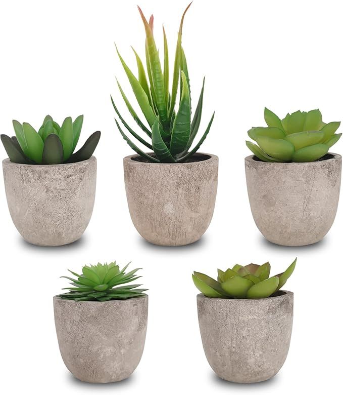 SAJANDAS Green Artificial Succulent Plants in Grey Pots Indoor, Set of 5 Fake Succulent Plants Po... | Amazon (CA)