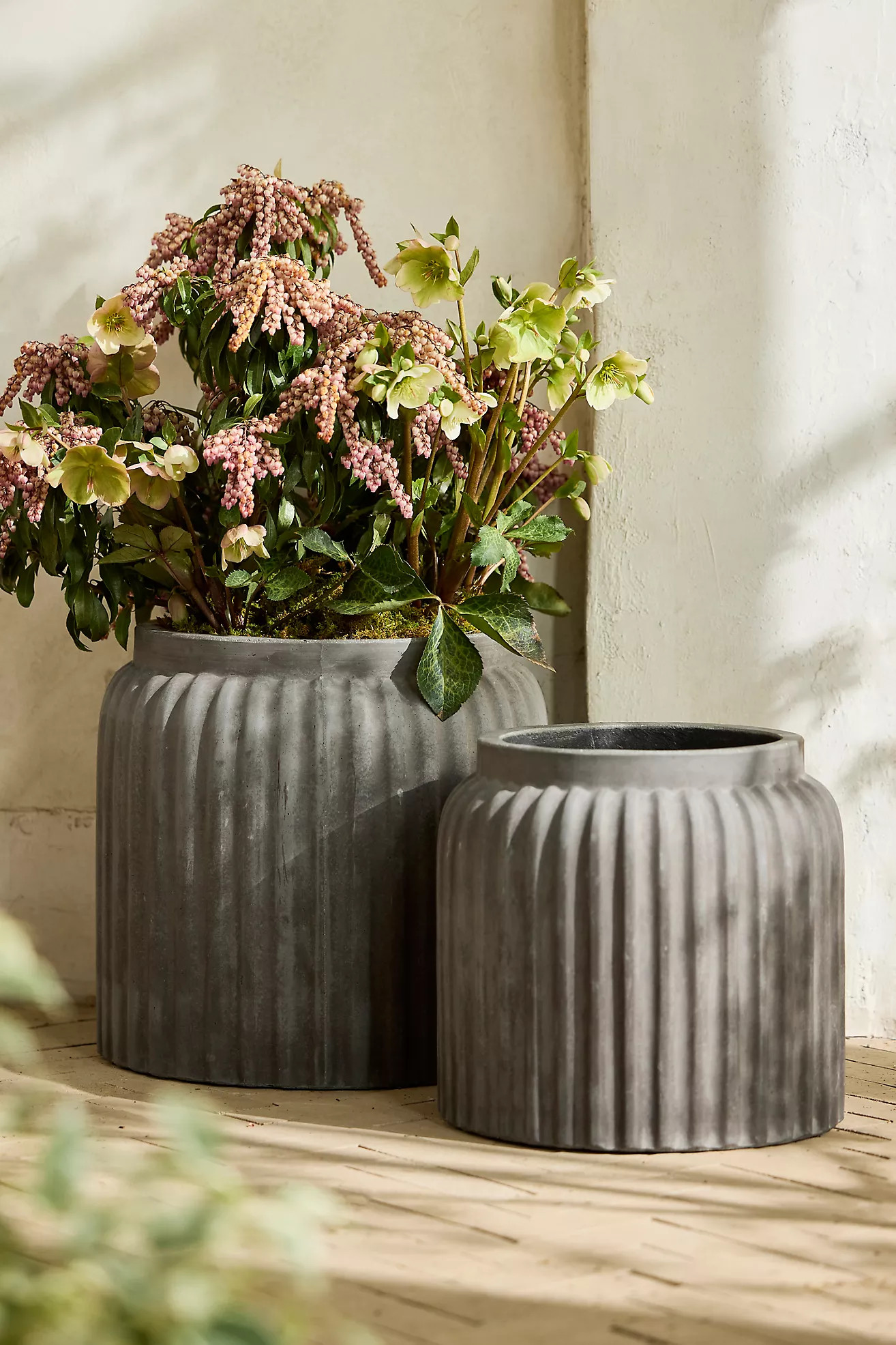 Fiber Dolly Jar Planter | Terrain