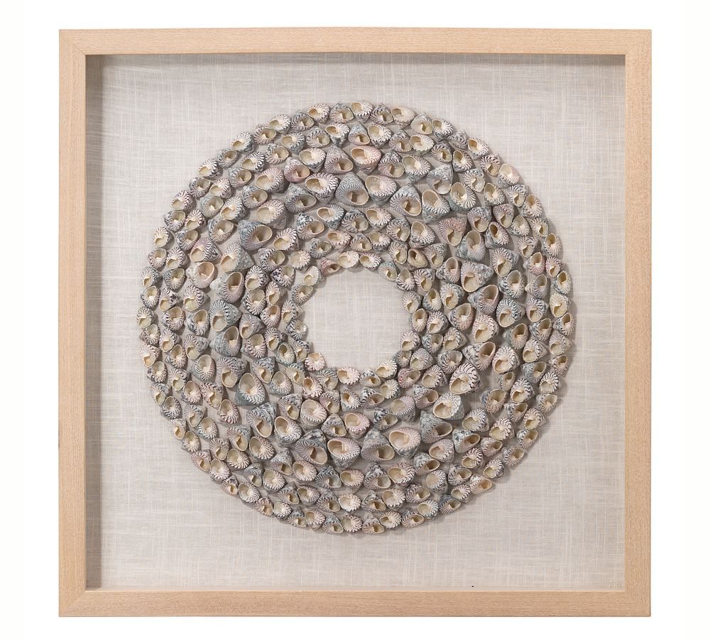 Trochidae Shell Shadow Box Wall Art | Pottery Barn (US)