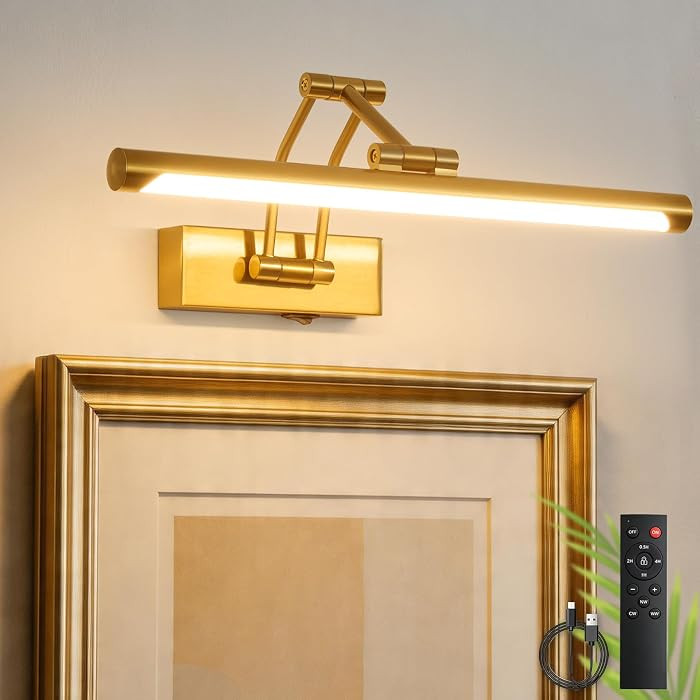 ZitoStory Picture Lights for Wall Battery Operated, (Gold, 16in) Rechargeable Art Light for Paint... | Amazon (US)