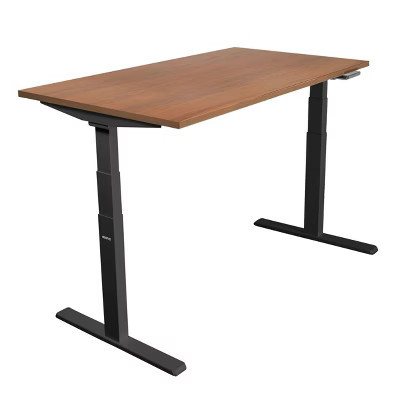 Mount-It! Dual Motor Electric Standing Desk with 55" Tabletop, Brown & Black | Target