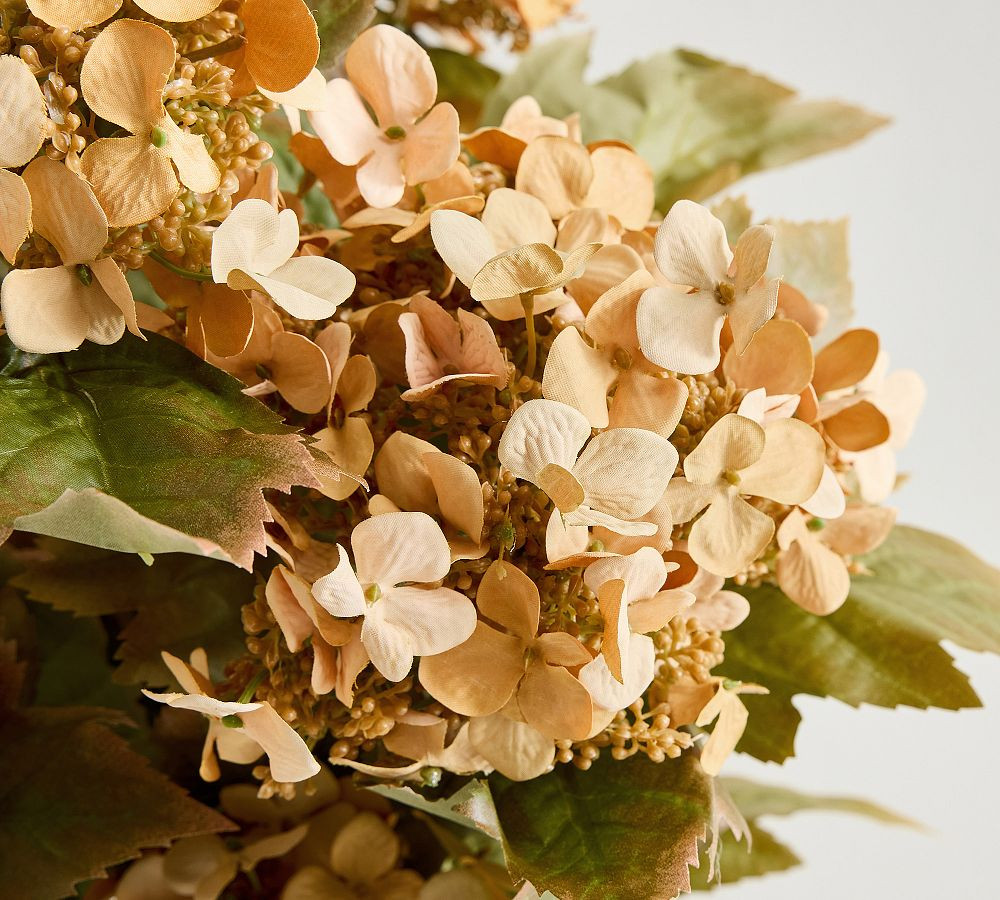 Faux Oak Leaf & Camel Hydrangea Bundle | Pottery Barn (US)