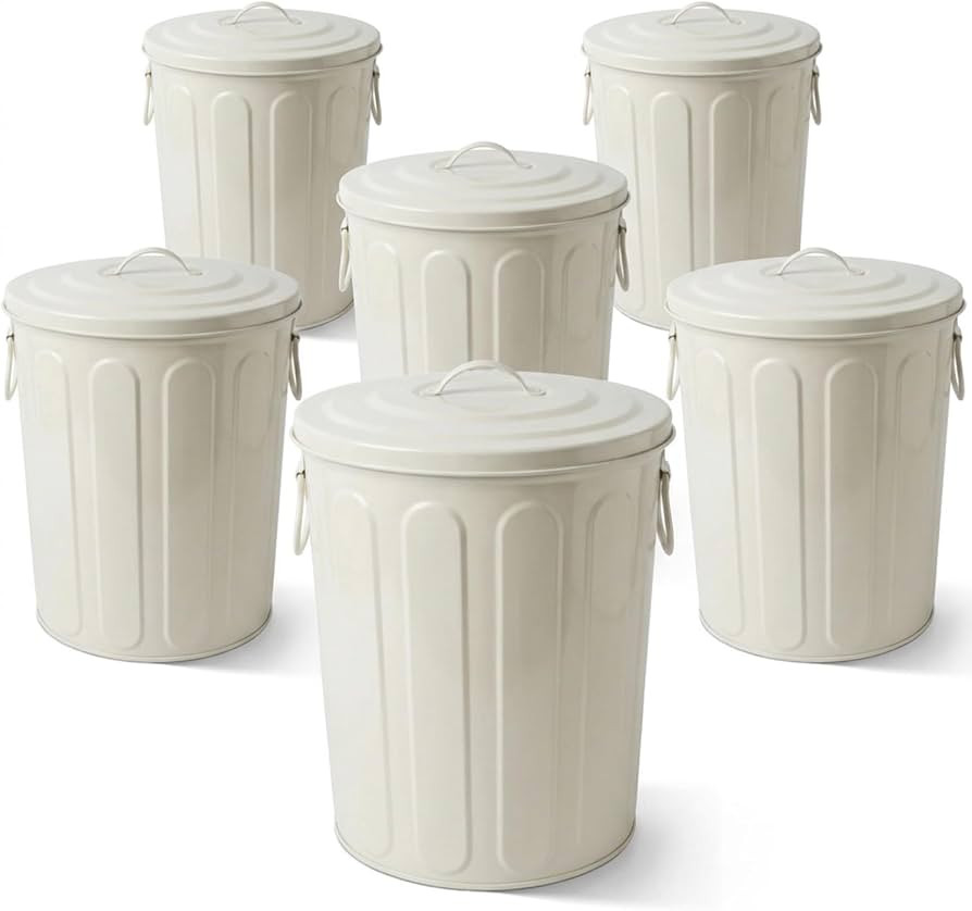 Plexon 5 Gallon Small Metal Trash Can with Lid Outdoor Galvanized Steel Bucket with Lid 5 Gal Sto... | Amazon (US)