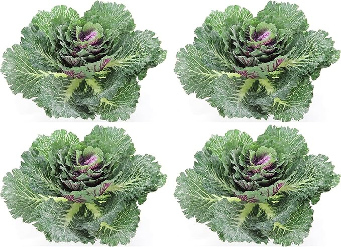 Admired By Nature Faux Cabbage Artificial Vegetables Realistic Fake Food Plants Props Artificial ... | Amazon (US)