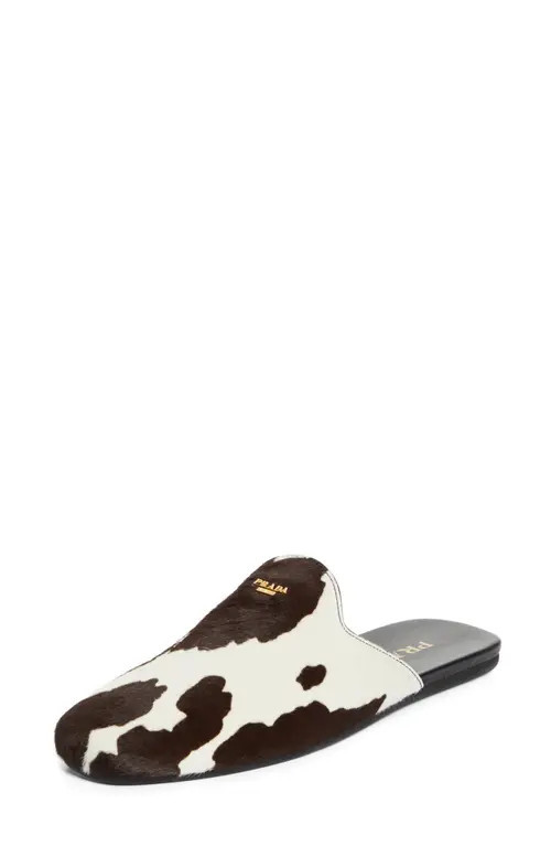 Prada Genuine Calf Hair Mule in Bianco/Moro at Nordstrom, Size 9.5Us | Nordstrom