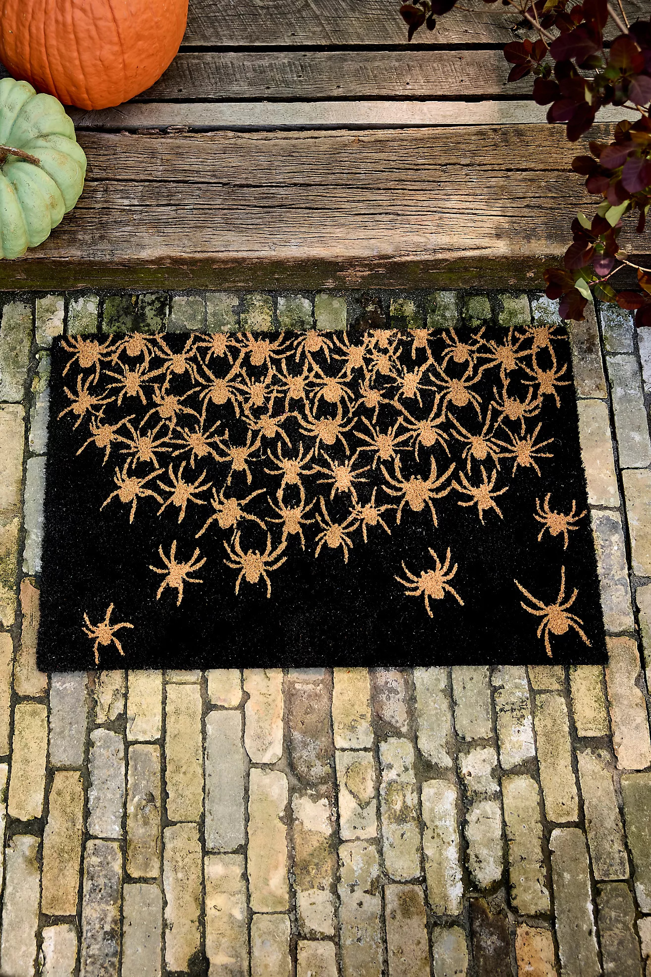 Spooky Spiders Coir Doormat | Terrain