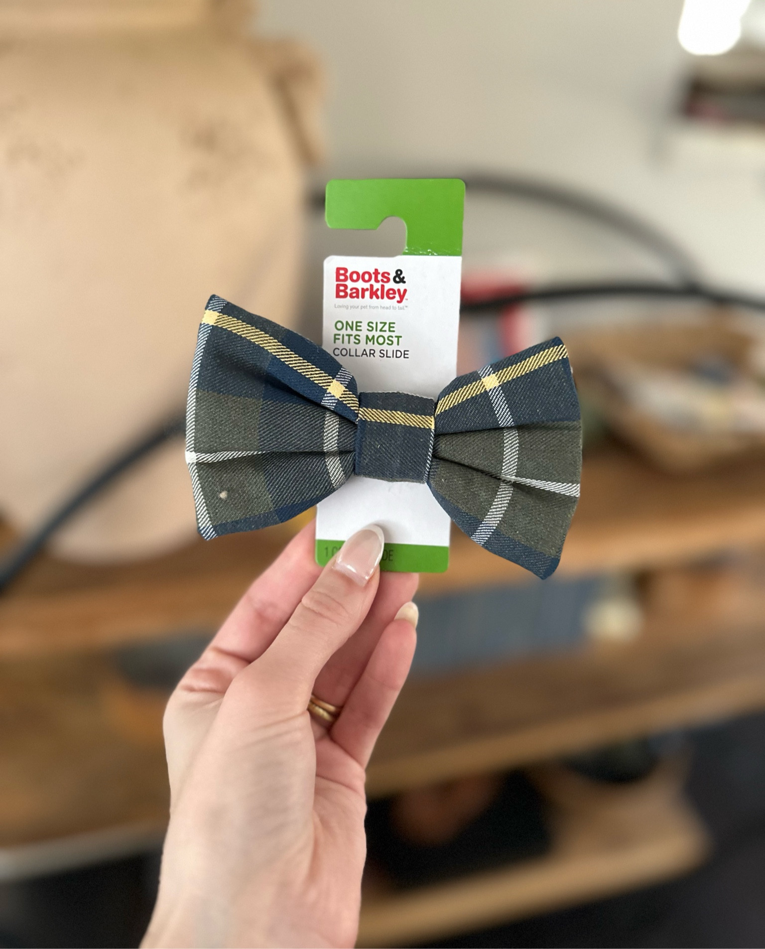 Dog bow tie or collar bow

…and some of my other favorite fall and winter finds for your pup 

#LTKFindsUnder50 #LTKFamily #LTKSeasonal