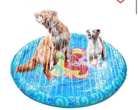 Disney dogs pet smart dog mom pet mom Disney dog swimming pool 

#LTKSeasonal #LTKSaleAlert #LTKGiftGuide