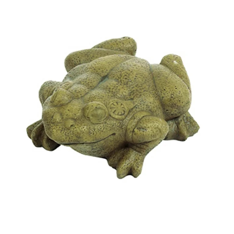 Large Bullfrog AP | Walmart (US)
