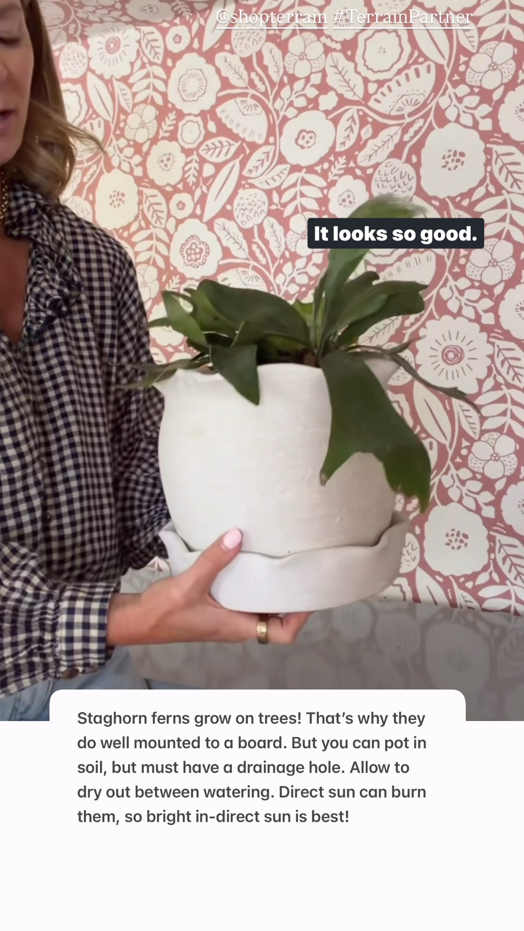 @shopterrain #TerrainPartner 