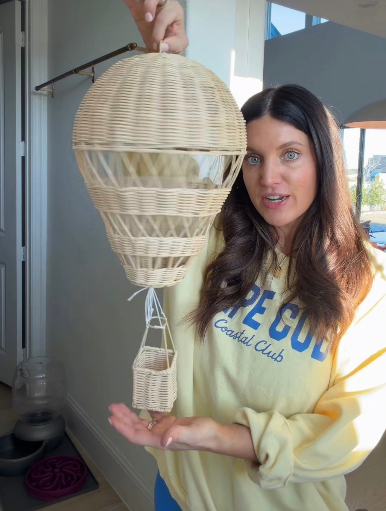 Whicker hot air balloon 

#LTKHome #LTKKids #LTKBaby