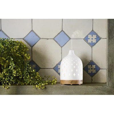 Supernova Ultrasonic Aroma Diffuser | Wayfair North America