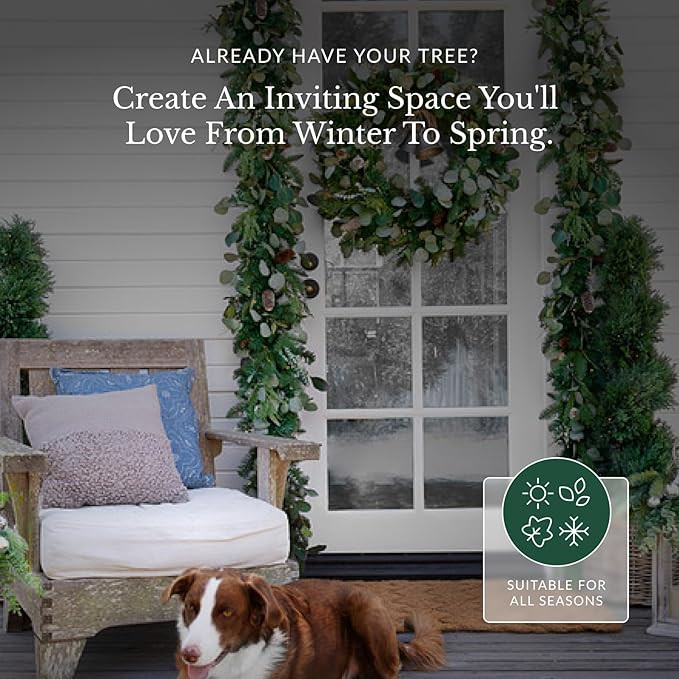 Balsam Hill | 4ft Unlit Alpine Artificial Christmas Tree | Slim Shape | Realistic Needle Foliage ... | Amazon (US)