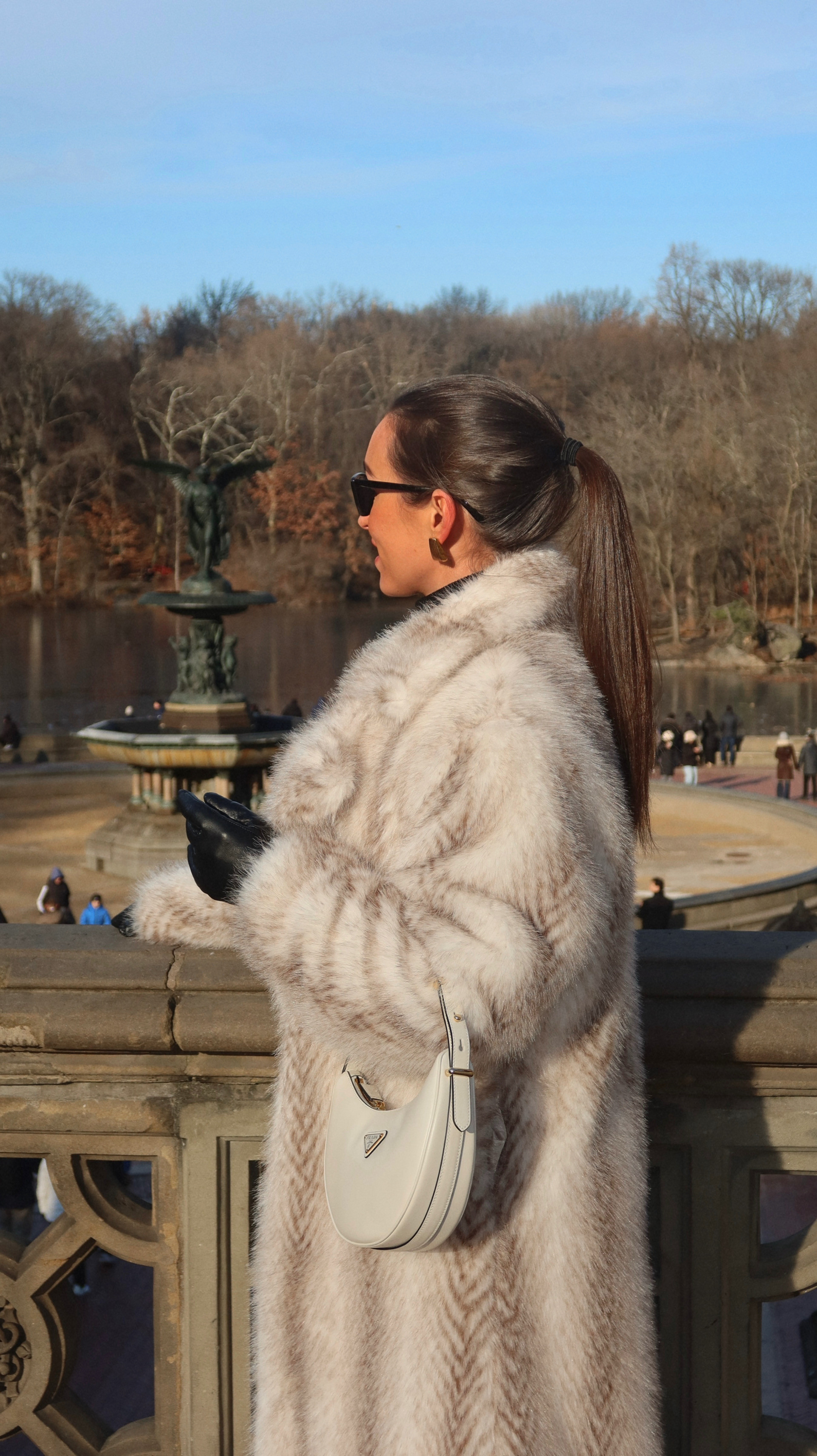 Central Park Strolls @parisinnewyork #furcoat #furseason #nycoutfit #winteroutfit #whitefur #classyoutfits 

 

#LTKSeasonal #LTKPetite