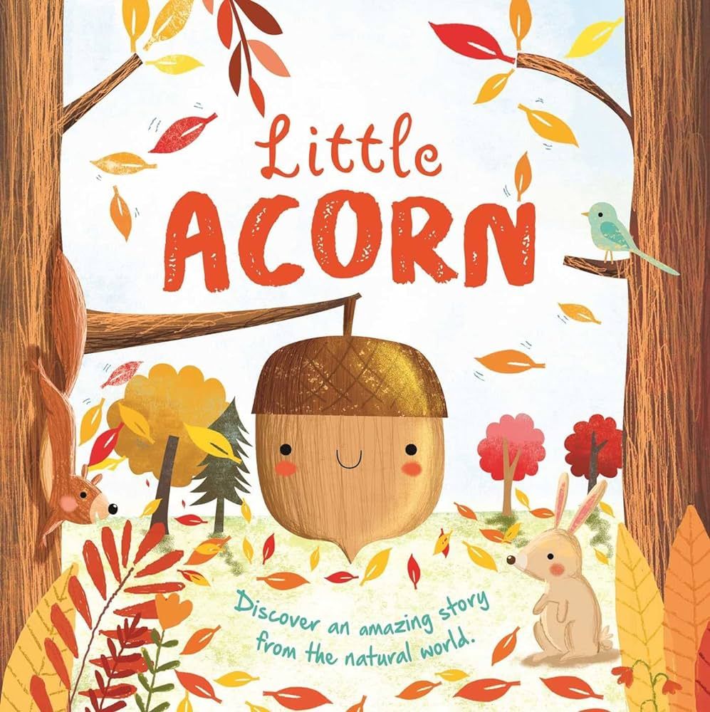 Nature Stories: Little Acorn-Discover an Amazing Story from the Natural World: Padded Board Book | Amazon (US)