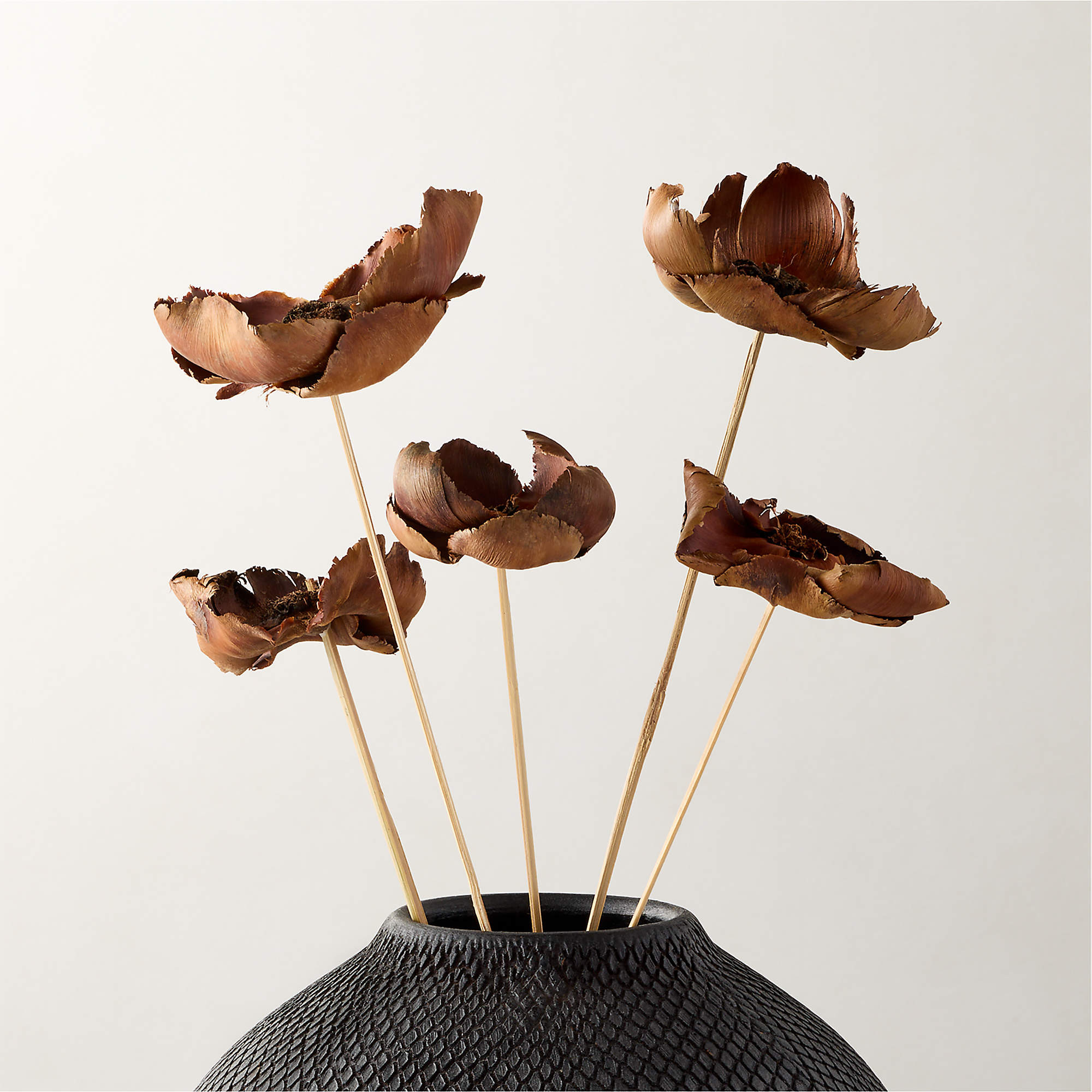Dried Brown Palm Cap Bunch 24" + Reviews | CB2 | CB2