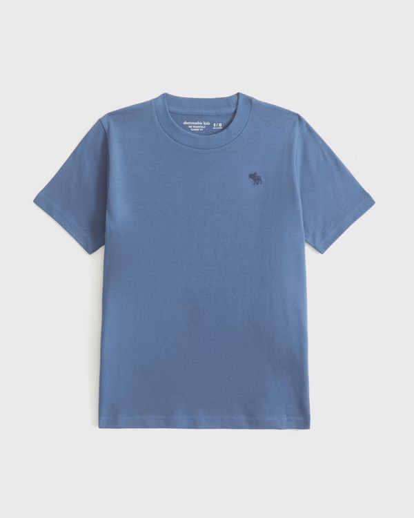 essential icon crew tee | Abercrombie & Fitch (US)