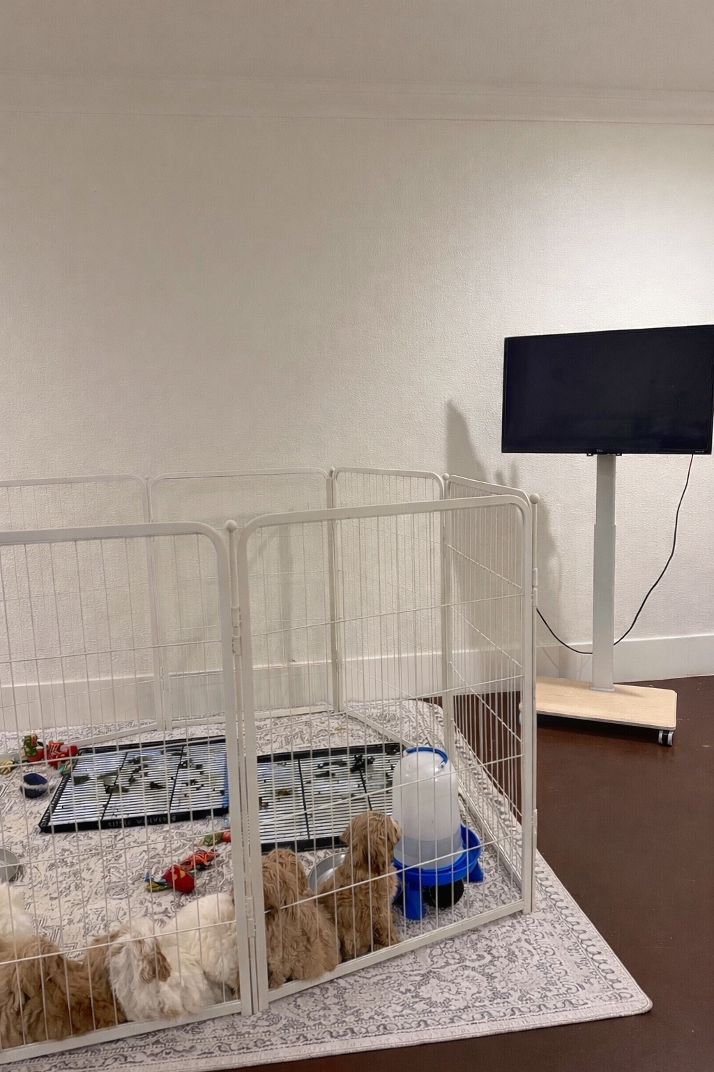 Portable tv stand!!! 

#LTKSpringSale #LTKdayinmylife #LTKmomlife