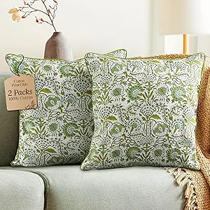 CPC 100% Cotton Throw Pillow Covers 20x20 Inch, Set of 2 Green Block Print Pattern Couch Pillow, ... | Amazon (US)