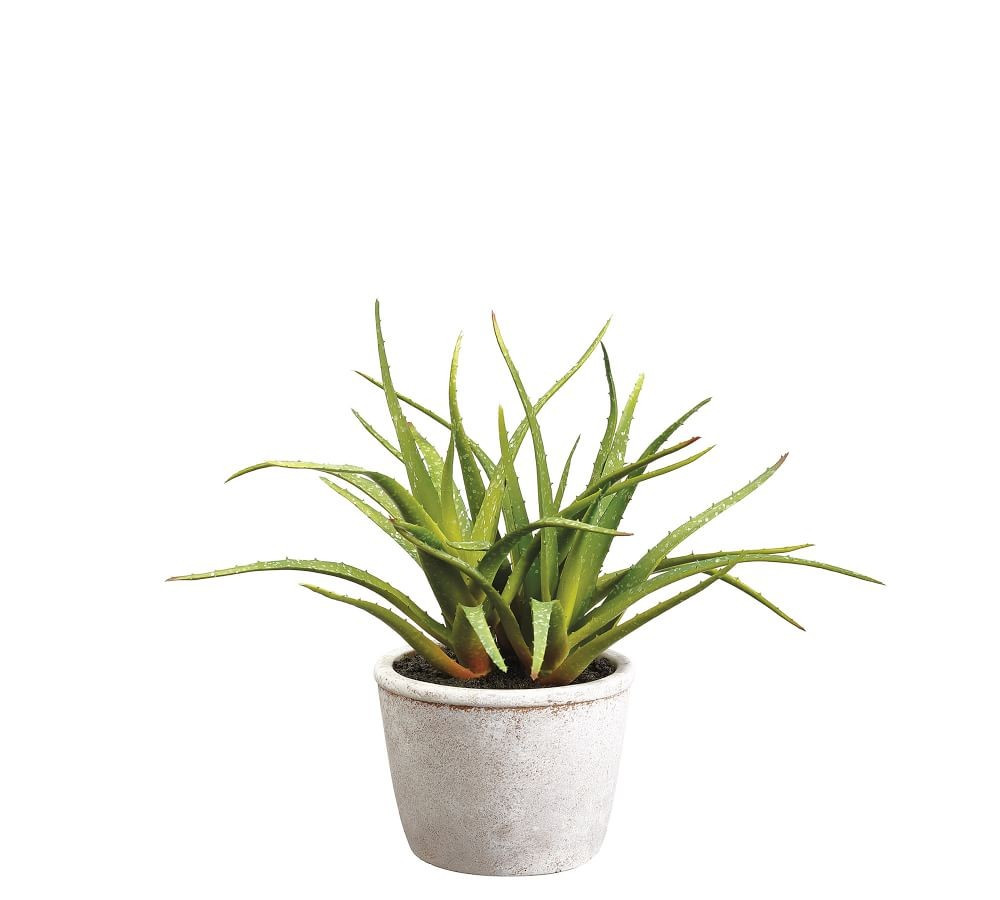 Faux Aloe Plant In Cement Pot, 12"H | Pottery Barn (US)