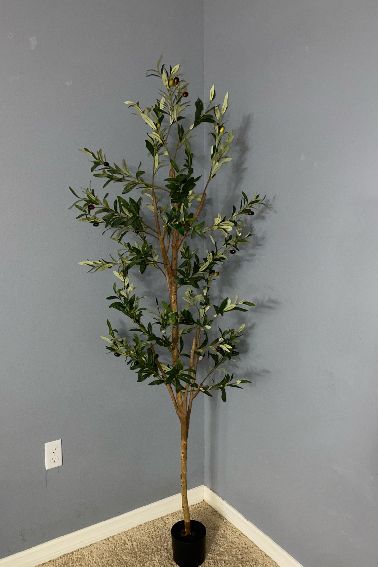 Looking for an olive tree? This one’s on major sale! 

#LTKFindsUnder50 #LTKHome #LTKSaleAlert