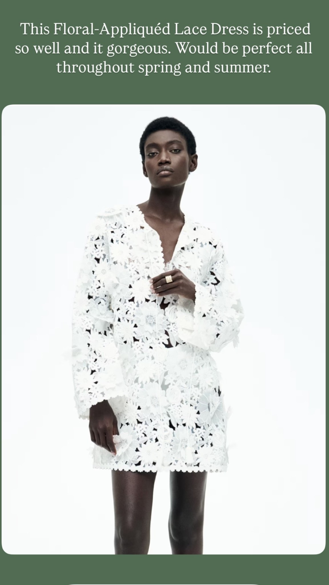 This Floral-Appliquéd Lace Dress is priced so well and it gorgeous. Would be perfect all throughout spring and summer.