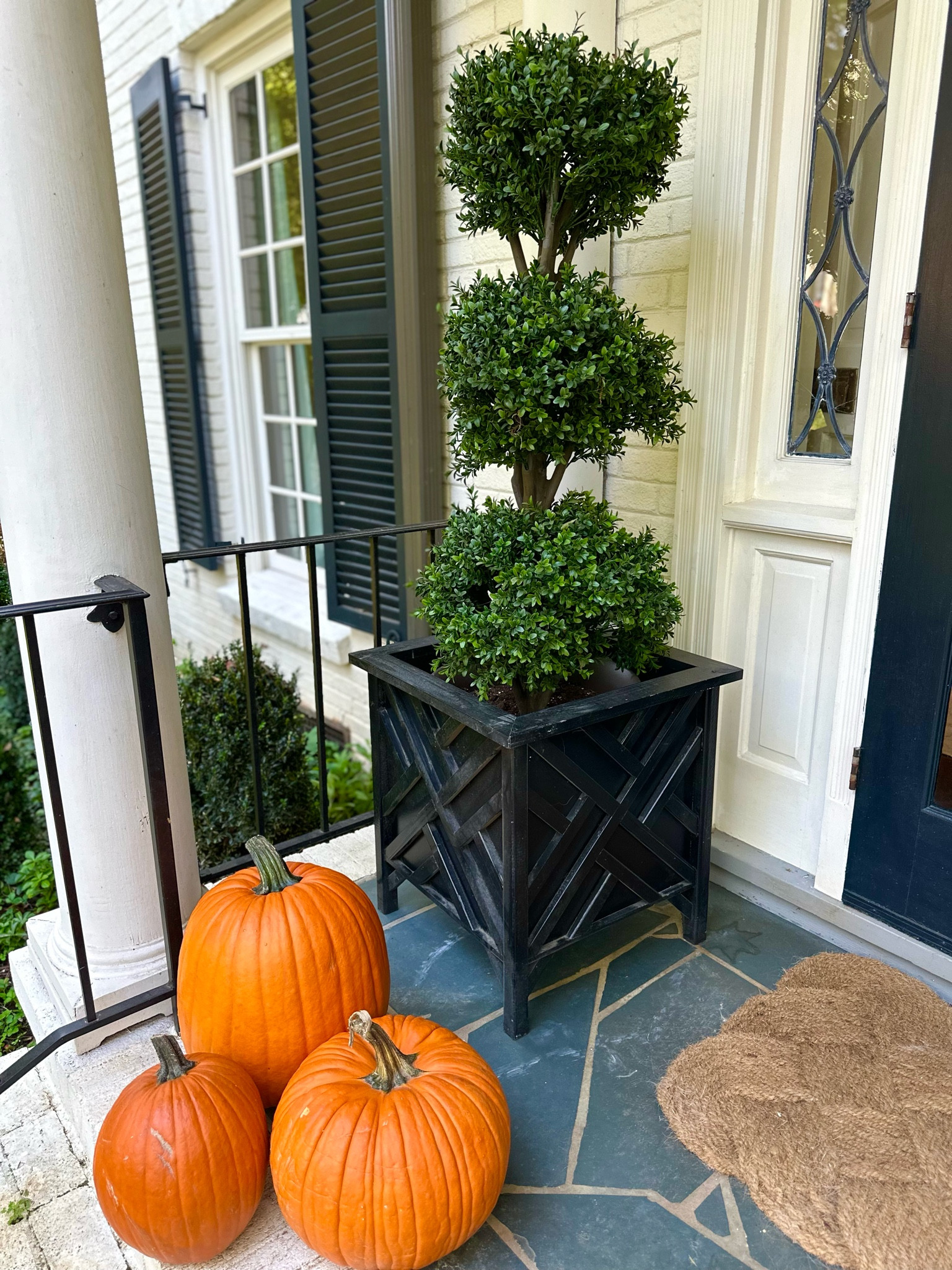 My faux topiaries have been on my porch for 5 years! They’ve held up so well over the years and can be dressed up for any occasion 

#LTKHome #LTKHalloween