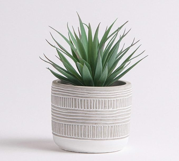Kurrajong Farmhouse 7" x 4.5" Artificial Plant in Concrete Cement Pot, Beautiful Feaux Plant for ... | Amazon (US)