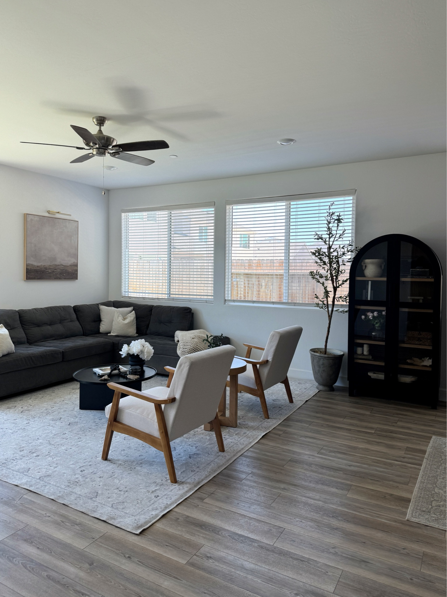 Shop my current living room✨🫶🏻

#LTKFindsUnder100 #LTKHome #LTKSaleAlert