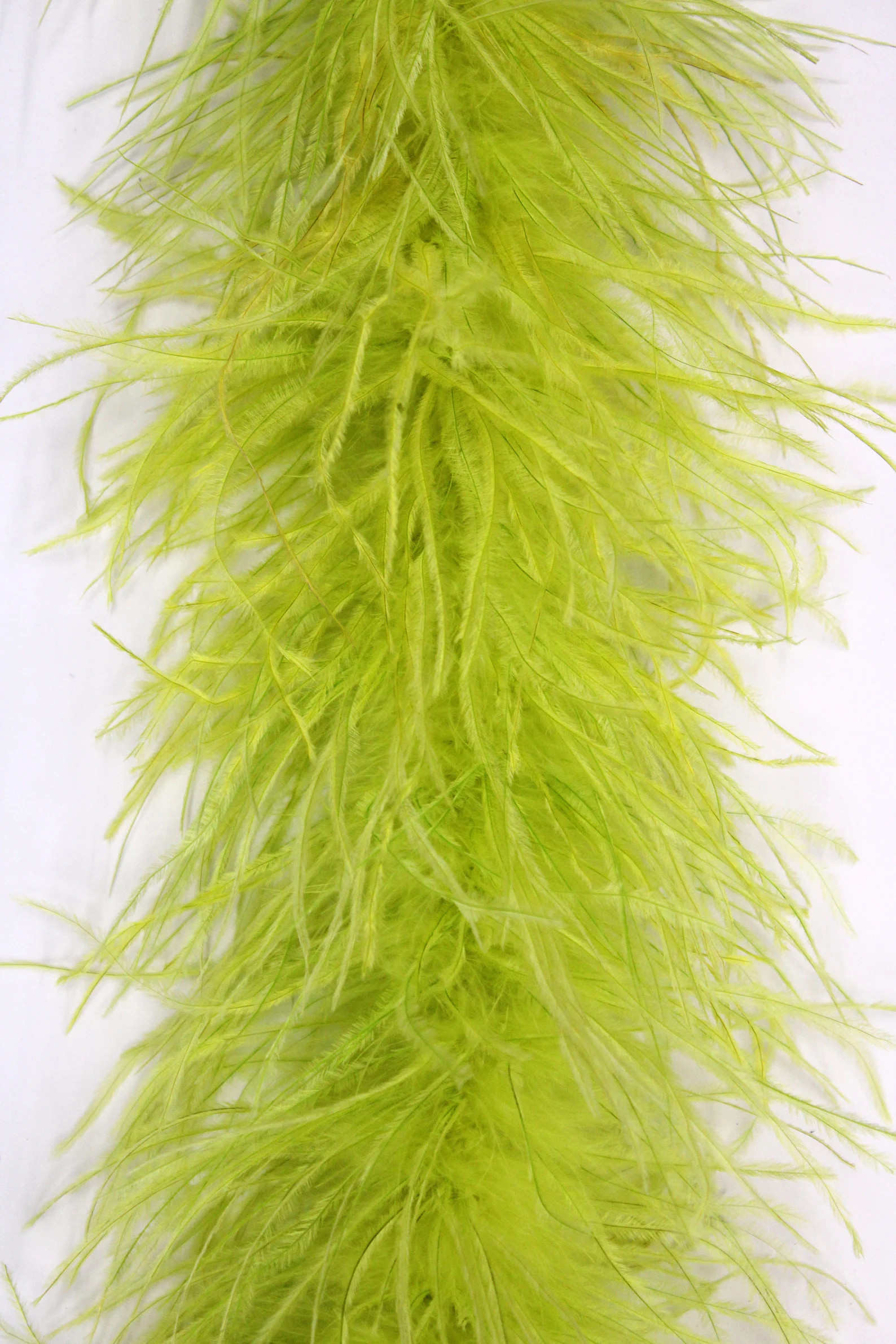 2 Ply MOSS GREEN Ostrich Feather Boa 2 Yards for Halloween Costume Craft Bachelorette Theater Des... | Etsy (Global)