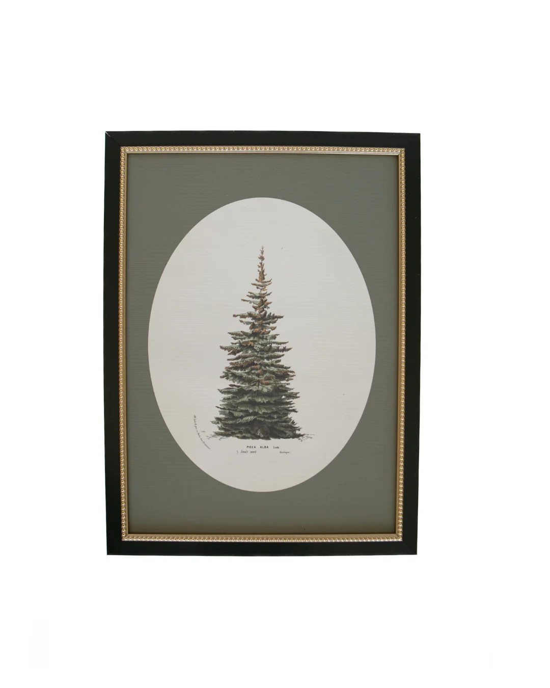 Winter Pine Framed Art | Elements by Remedy