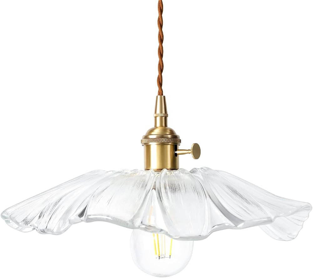 Pendant Light Fixtures, Flower Shape Hanging Light Fixture with Cord, Glass Hanging Lamp, Modern ... | Amazon (US)