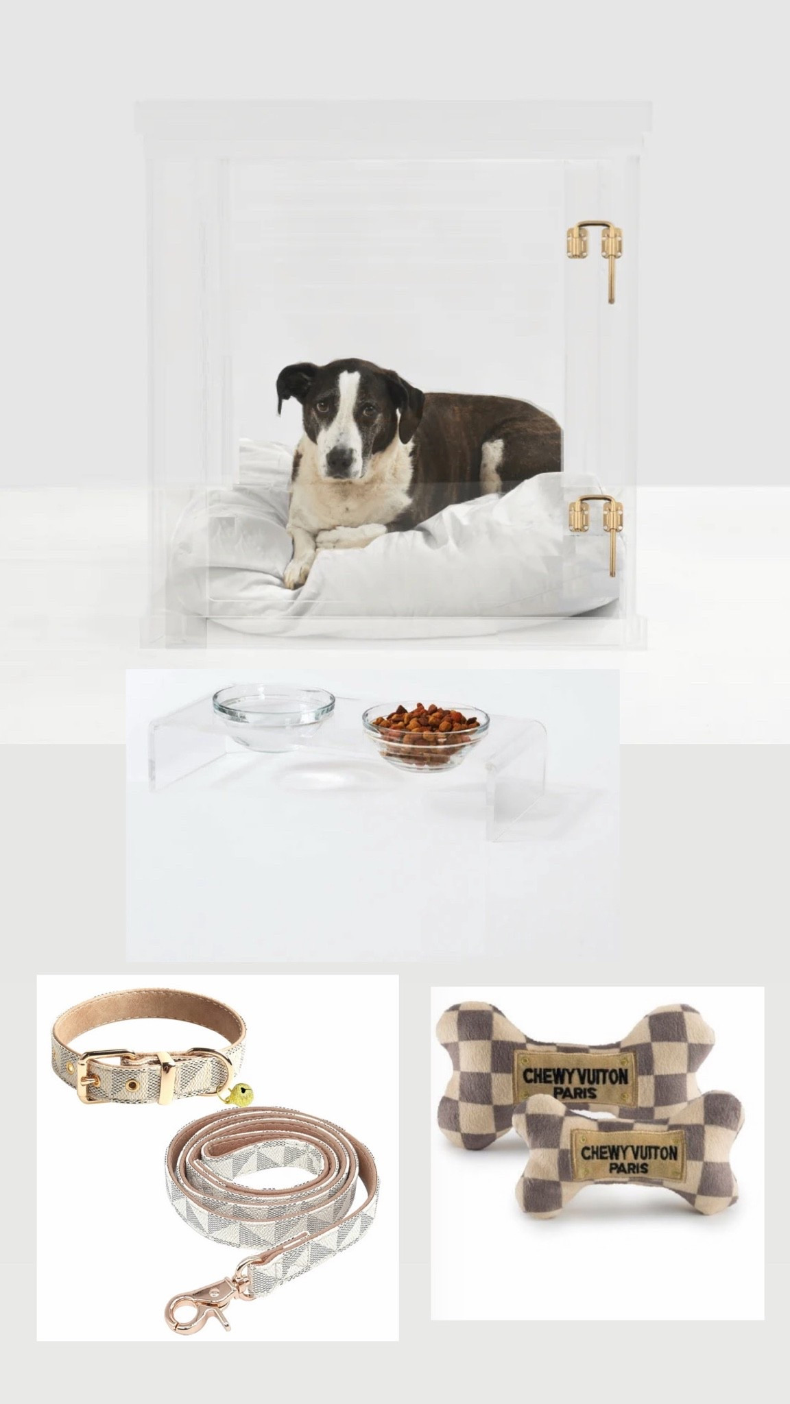 Fur baby must haves #LTKPet
