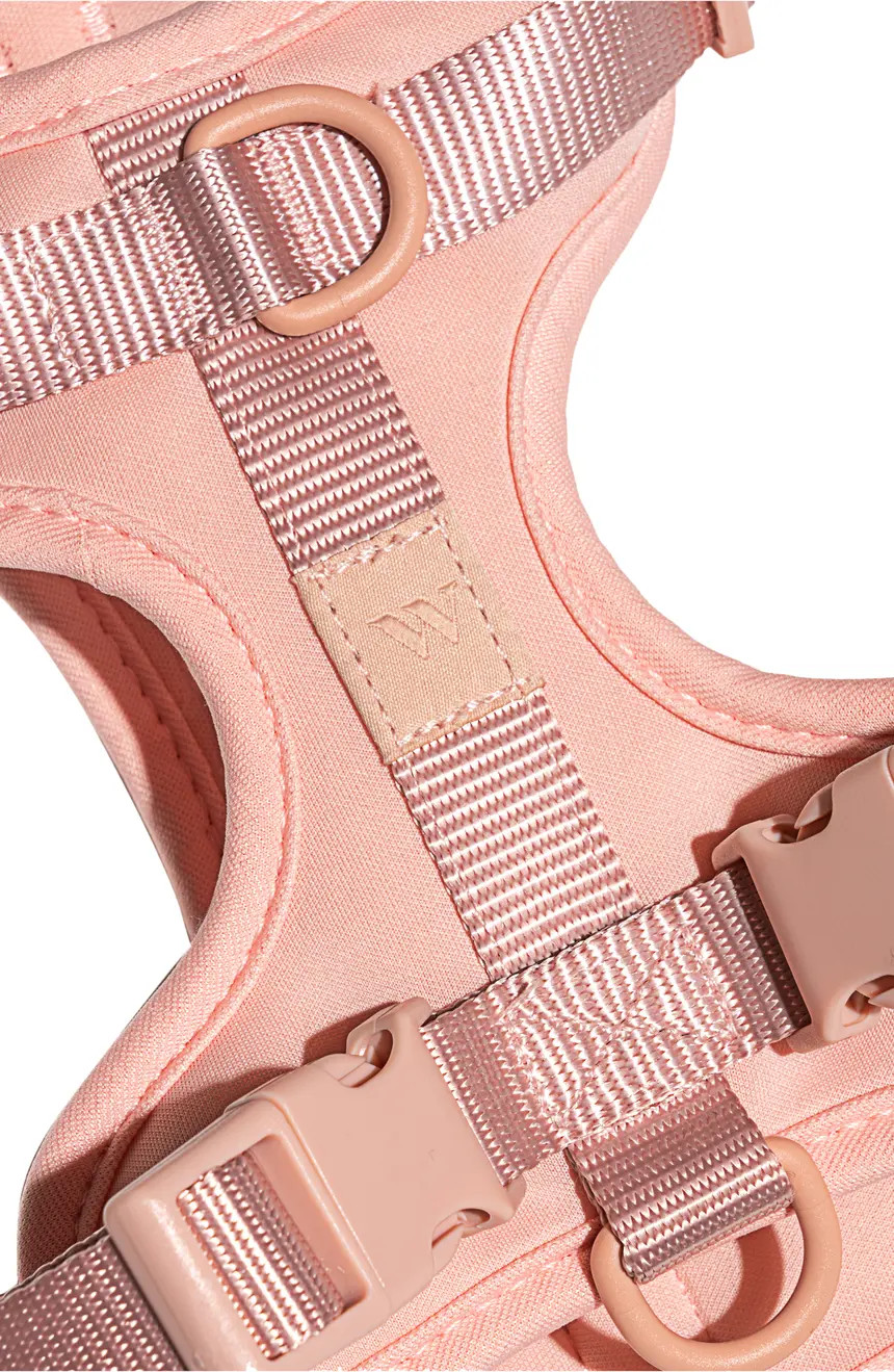 Wild One Dog Harness | Nordstrom | Nordstrom