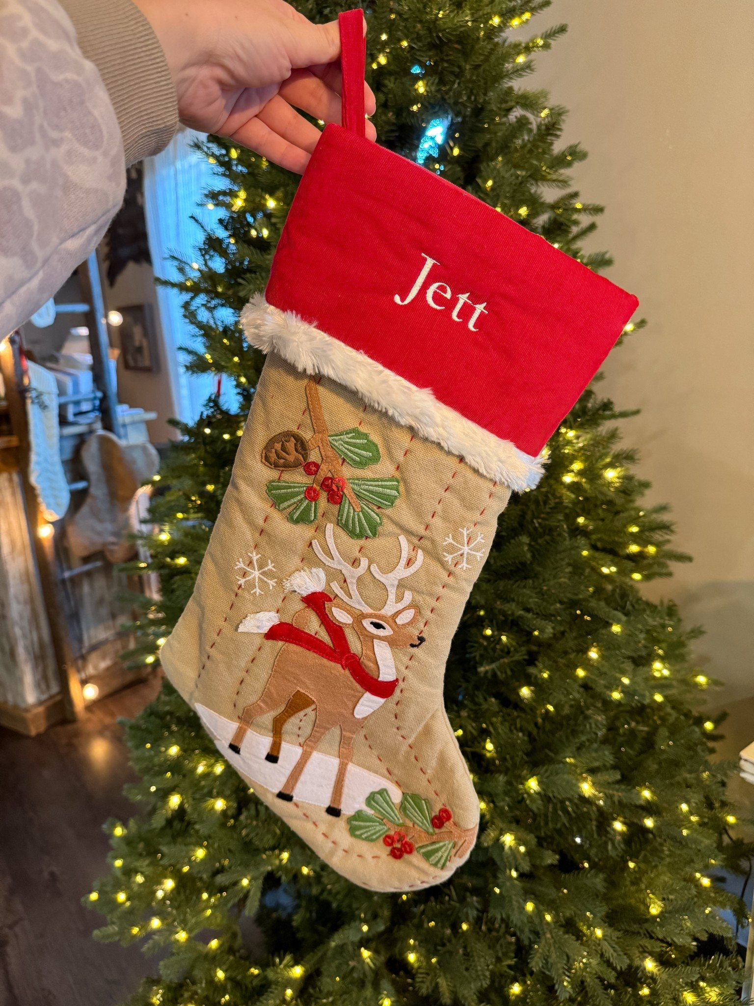 Christmas stocking for my toddler! 

#LTKHoliday #LTKFamily #LTKKids