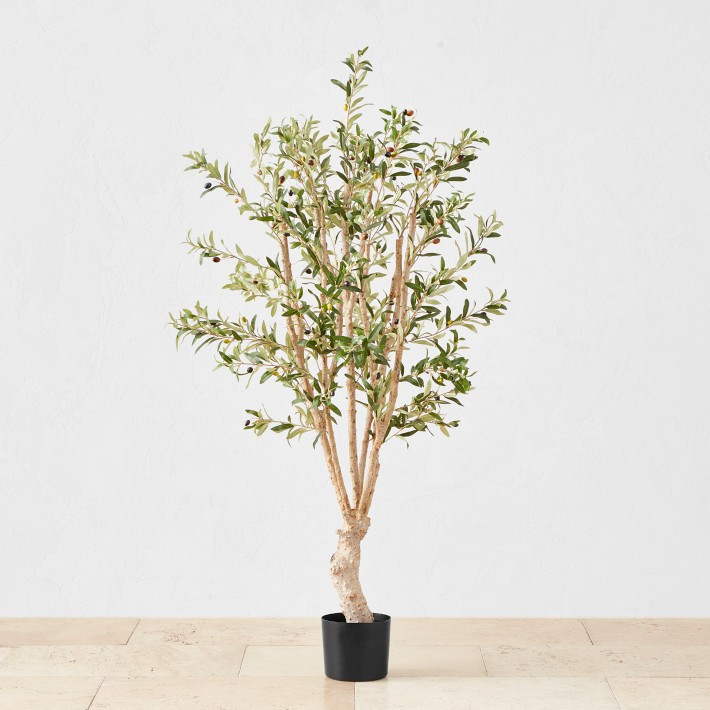 5' Faux Indoor Silk Olive Tree | Williams-Sonoma