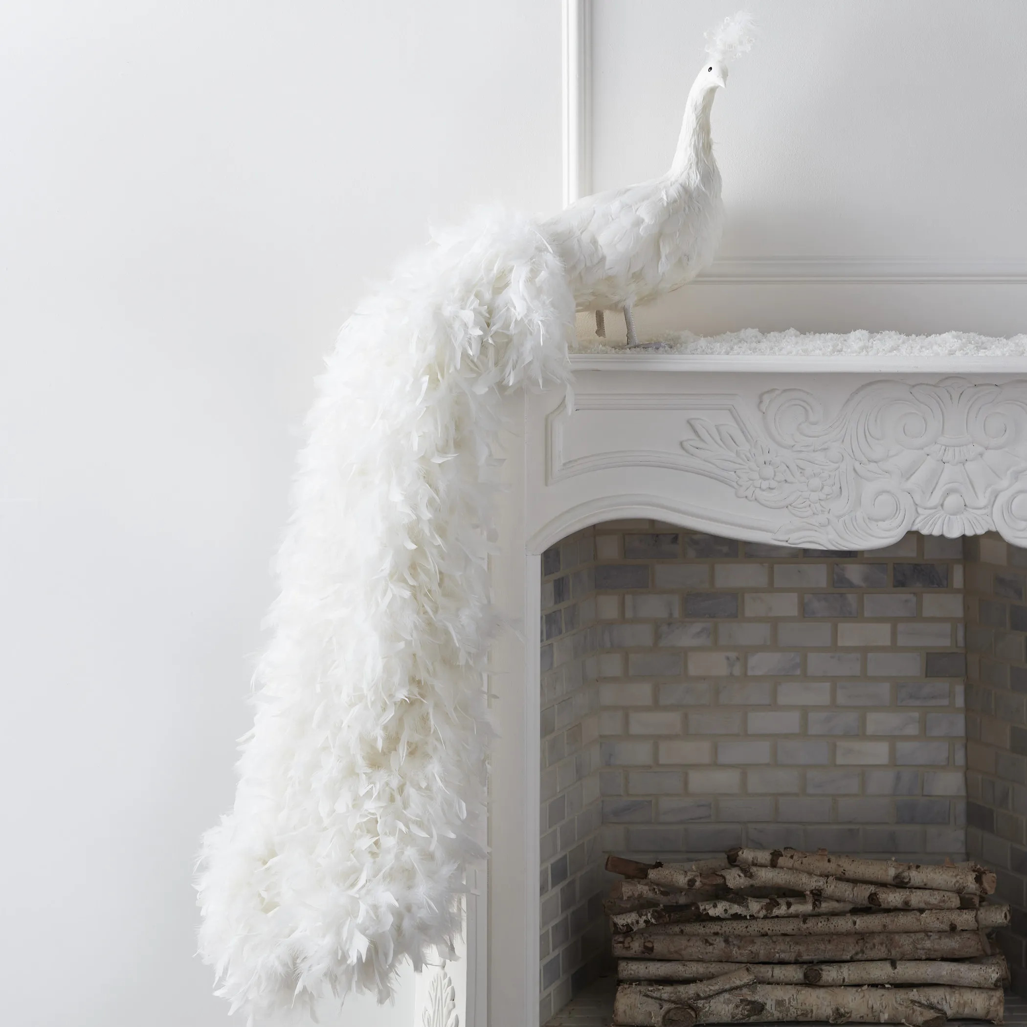 Fancy Peacock | Z Gallerie