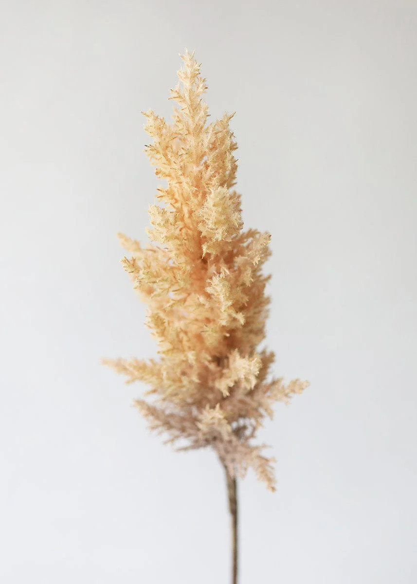 Fake Pampas Grass in Tan - 33 | Afloral