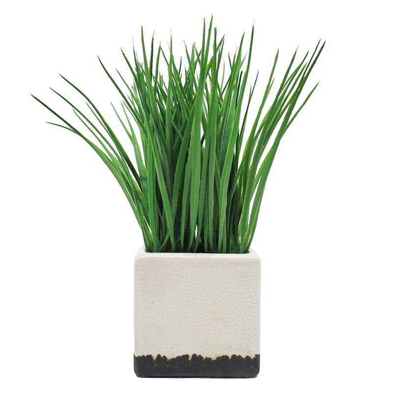 Grass Plant with White Square Planter, 10" | At Home