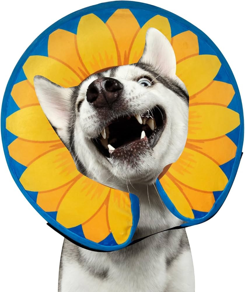 Material Type:
  Large Collar   
  Large Collar                                                  ... | Amazon (US)