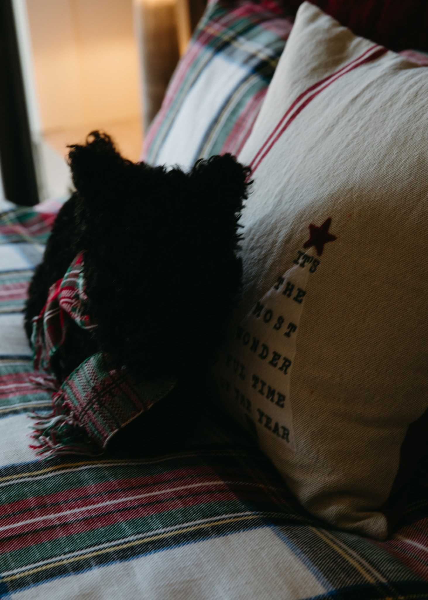 Obsessed with this little guy! I’m such a sucker for cute animals. Linking some of my favorite Christmas pillows that are super cute.

#LTKHome #LTKHoliday #LTKSeasonal