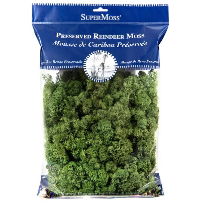 SuperMoss Preserved Reindeer Moss Decorative Filler: Soft, Spongy Indoor/Outdoor Craft Material - Green | Target