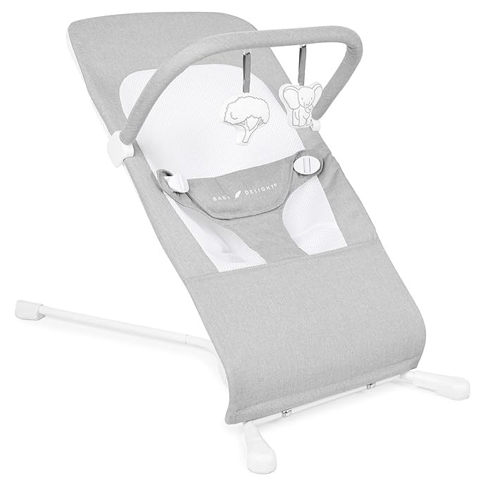 Baby Delight Highland Baby Bouncer | Infant | 0 – 6 Months | 3-Position Recline | Pebble Grey | Amazon (US)