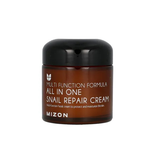 MIZON - All In One Snail Repair Cream 75ml | YesStyle | YesStyle Global