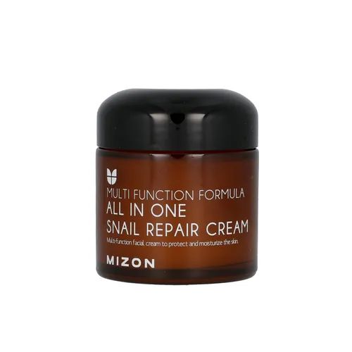 MIZON - All In One Snail Repair Cream 75ml | YesStyle Global